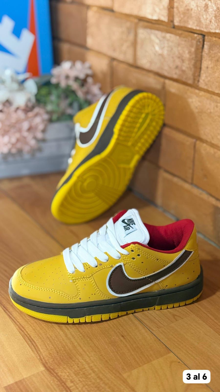 NIKE DUNK EDICION ESPECIAL