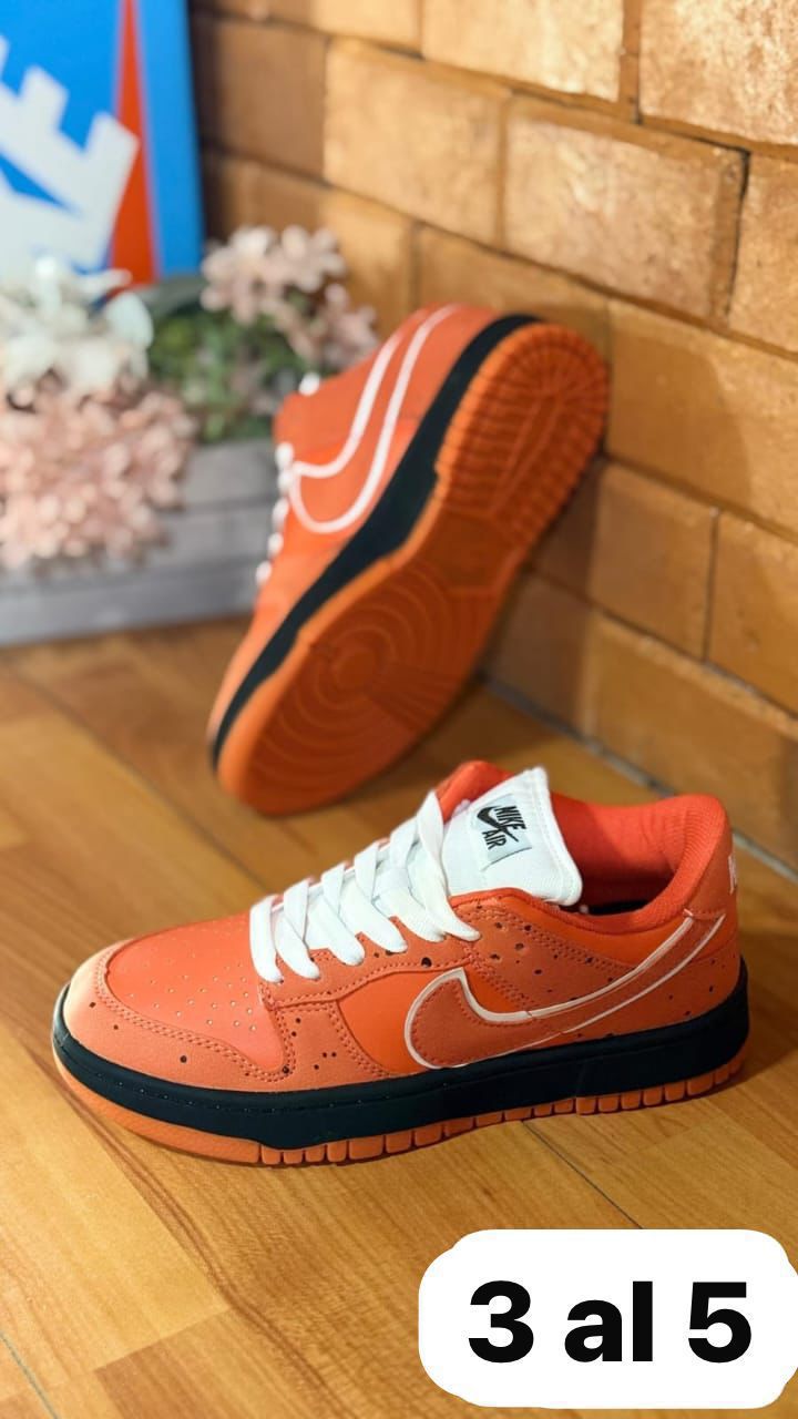 NIKE DUNK EDICION ESPECIAL