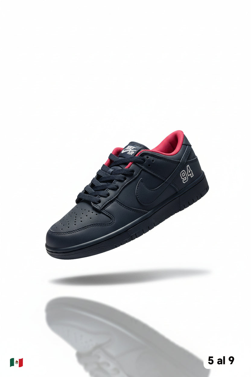 NUEVO DUNK EDICION ESPECIAL