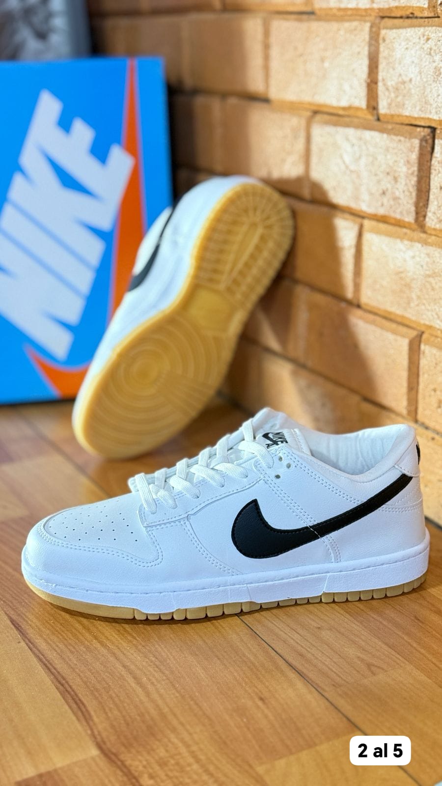 NIKE DUNK EDICION ESPECIAL