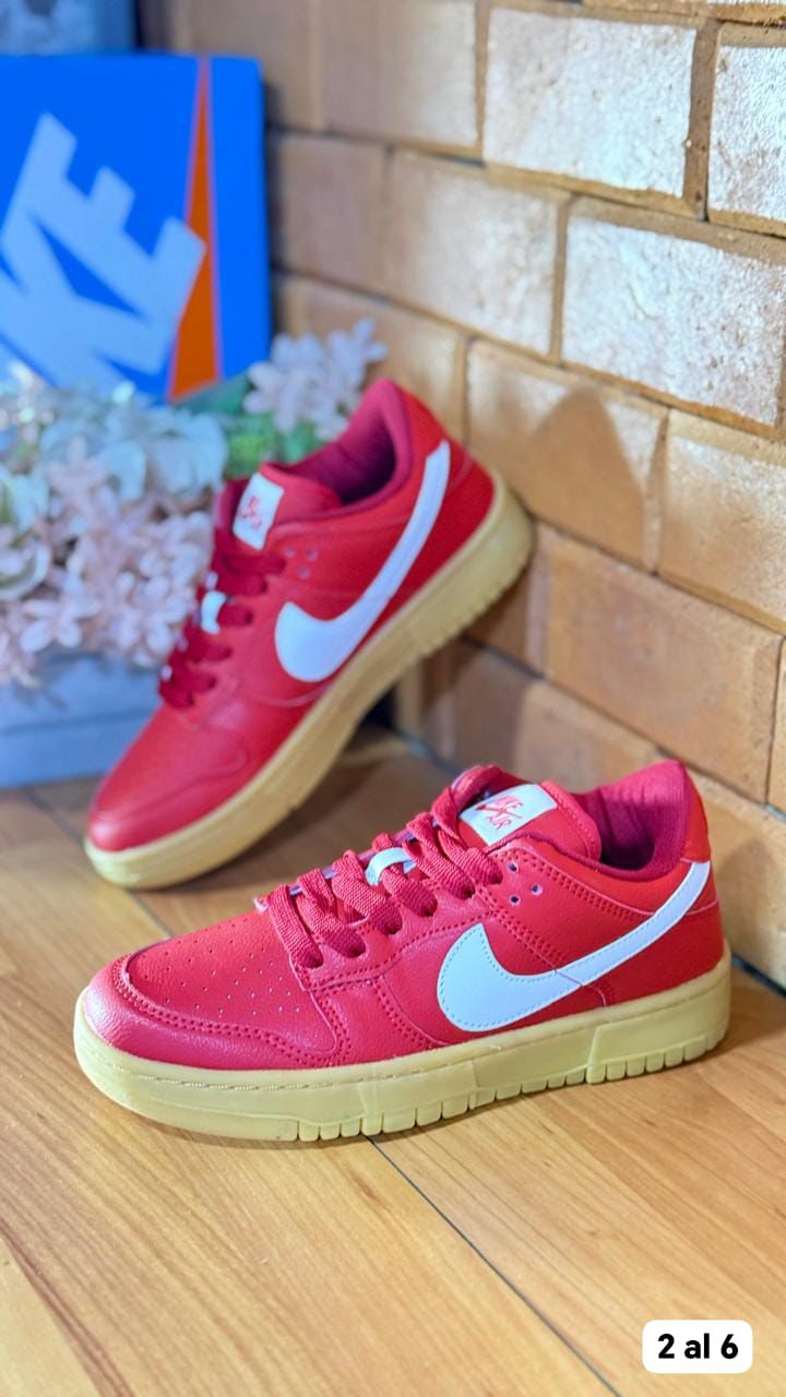 NIKE DUNK EDICION ESPECIAL