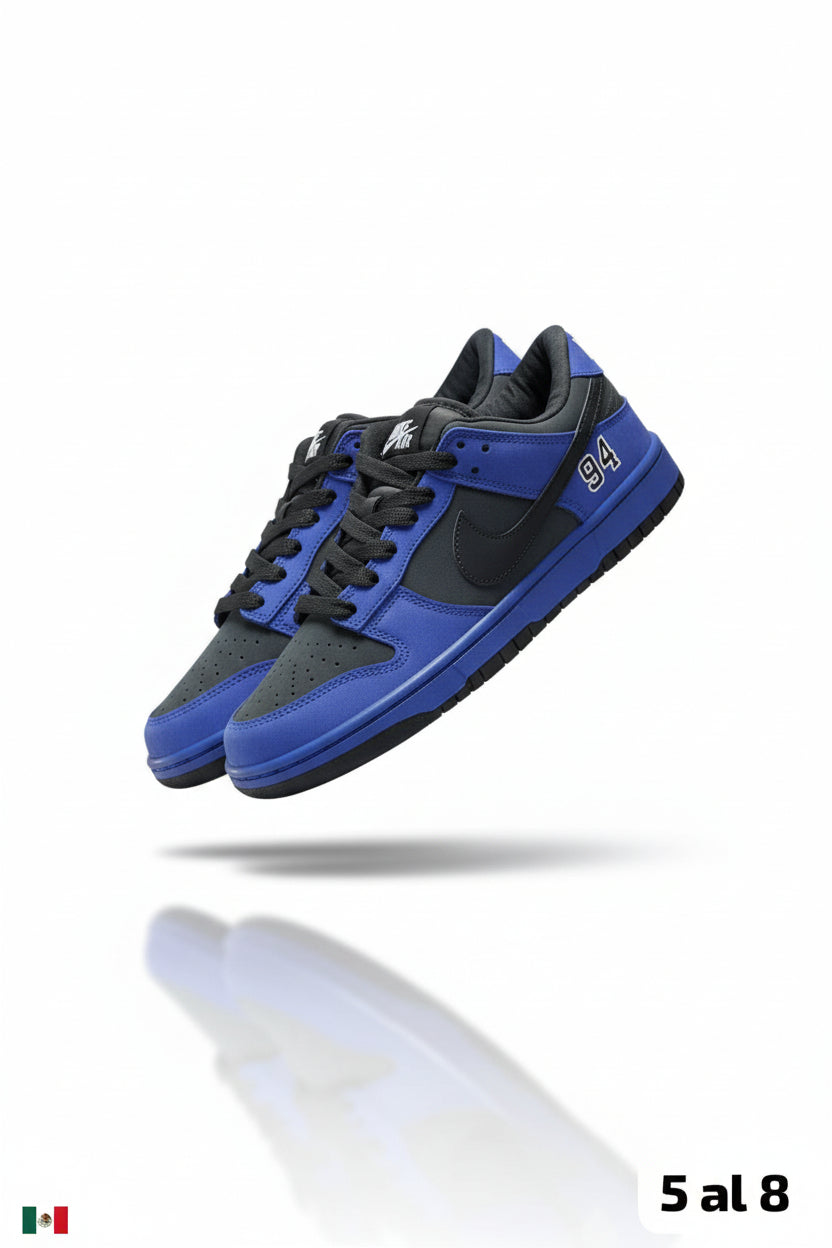 NUEVO DUNK EDICION ESPECIAL