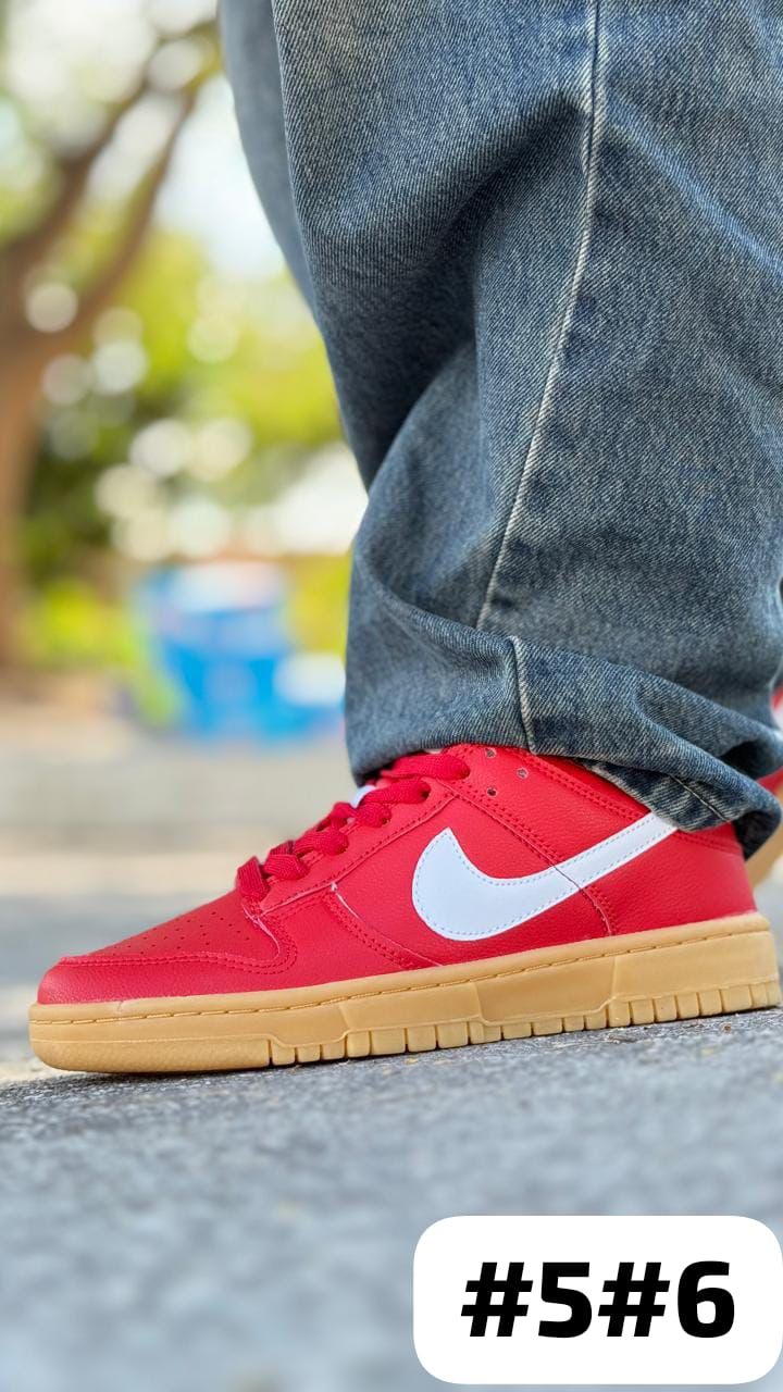 NUEVO DUNK EDICION ESPECIAL