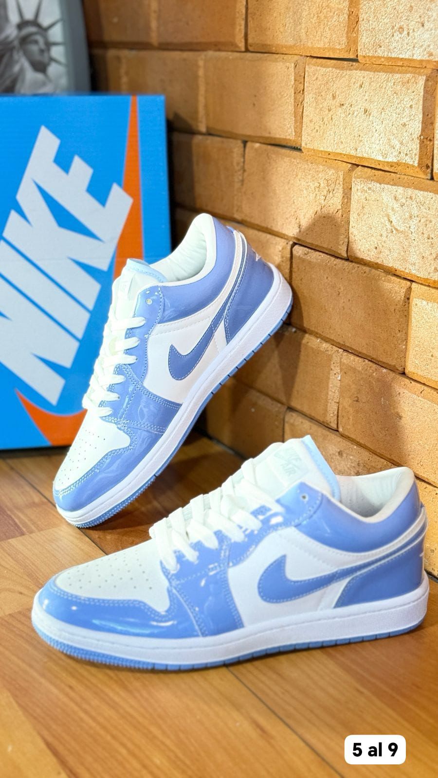 NUEVO DUNK EDICION ESPECIAL